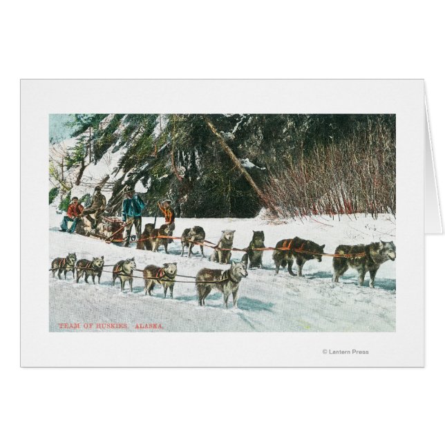 Ansicht eines Husky Dog-Sled Teams (Vorderseite (Horizontal))