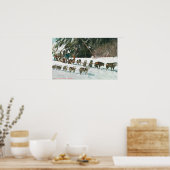 Ansicht eines Husky Dog-Sled Teams Poster (Küche)
