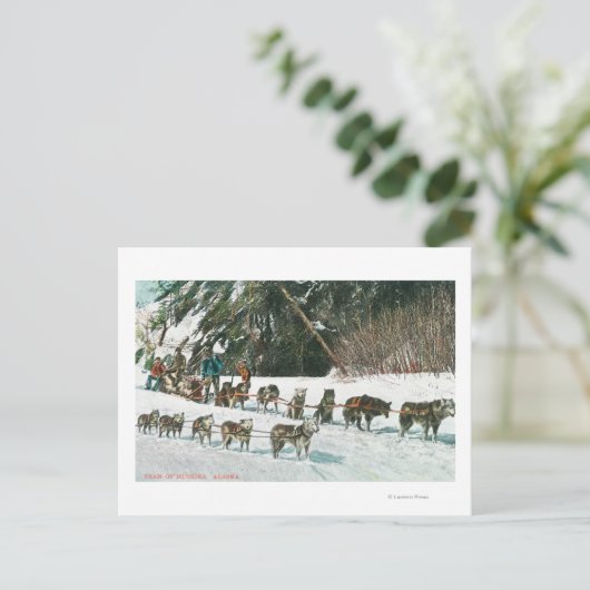 Ansicht eines Husky Dog-Sled Teams Postkarte (Stehend Vorderseite)