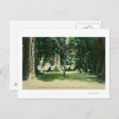 Ansicht eines Lagers im Redwood Postkarte (Vorne/Hinten)