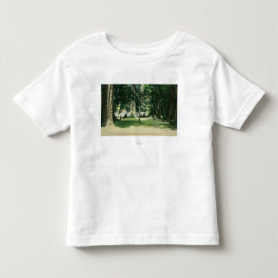 Ansicht eines Lagers in den Rothölzern Kleinkind T-shirt