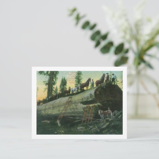 Ansicht eines Logging-Teams auf einem gefallenen R Postkarte (Stehend Vorderseite)