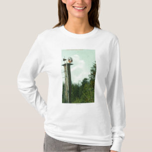 Ansicht eines Mammutbaum-Winds MillEureka, CA T-Shirt