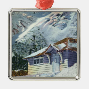 Ansicht eines US-Forstdienst-Ski-Schutz Ornament Aus Metall