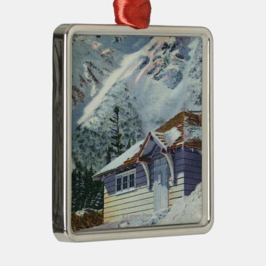 Ansicht eines US-Forstdienst-Ski-Schutz Ornament Aus Metall (Rechts)