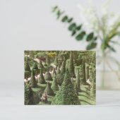 Ansicht in Mr. Hunnewell's Grounds, Wellesley, Mas Postkarte (Stehend Vorderseite)