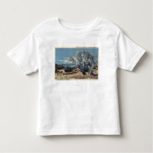 Ansicht Mt. San Gorgonio, Rauch-Bäume Kleinkind T-shirt