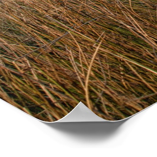 Ansicht über die Mauern Poster (Ecke)