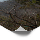 Ansicht vom Landschaftlichen Talimena-Laufwerk, OK Poster (Ecke)