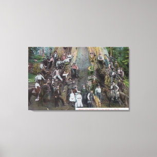 Ansicht von Boole, der größte Baum in der Welt Leinwanddruck