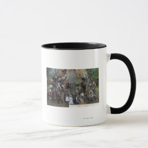 Ansicht von Boole, der größte Baum in der Welt Tasse