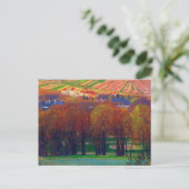 Ansicht von Carl Moll Postkarte (Stehend Vorderseite)