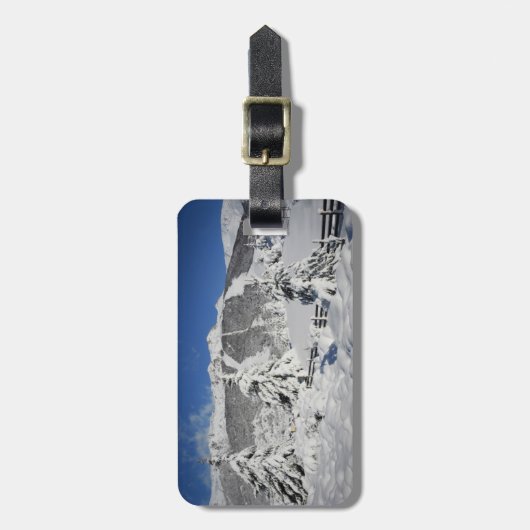 Ansicht von Catedral Skiort in Bariloche Gepäckanhänger (Vorderseite vertikal)