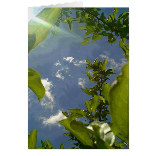 Ansicht von der Apfelbaum (Vorne)