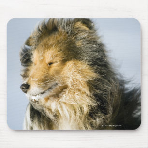 Ansicht von die Shetlandinseln-Schäferhund Mousepad