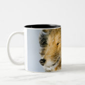 Ansicht von die Shetlandinseln-Schäferhund Zweifarbige Tasse (Links)