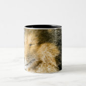 Ansicht von die Shetlandinseln-Schäferhund Zweifarbige Tasse (Mittel)