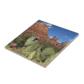 Ansicht von DoppelButtes | Sedona, Arizona Fliese (Seite)