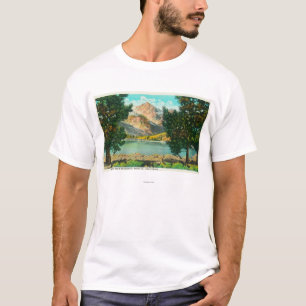 Ansicht von Doppelseen nähern sich Bridgeport T-Shirt