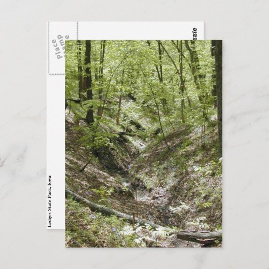 Ansicht von Ledges, Brückenpostkarten Postkarte (Vorne/Hinten)