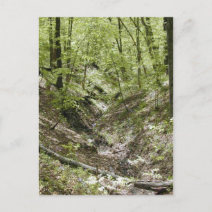 Ansicht von Ledges, Brückenpostkarten Postkarte