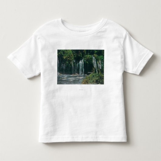 Ansicht von Mossbrae FallsShasta Frühlingen, CA Kleinkind T-shirt (Vorderseite)