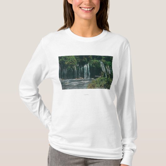 Ansicht von Mossbrae FallsShasta Frühlingen, CA T-Shirt (Vorderseite)