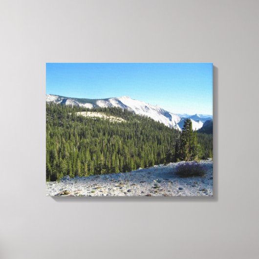 Ansicht von Olmstead Point, Yosemite, CA Leinwanddruck (Vorderseite)