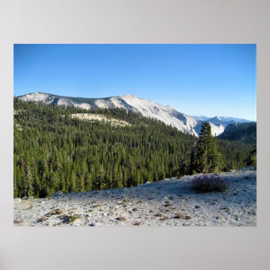 Ansicht von Olmstead Point, Yosemite, CA Poster (Vorne)