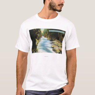 Ansicht von Seymour Schlucht T-Shirt