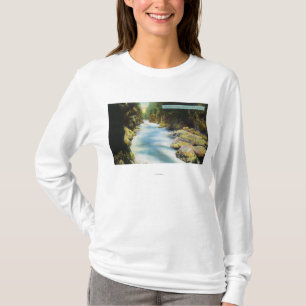 Ansicht von Seymour Schlucht T-Shirt
