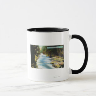 Ansicht von Seymour Schlucht Tasse