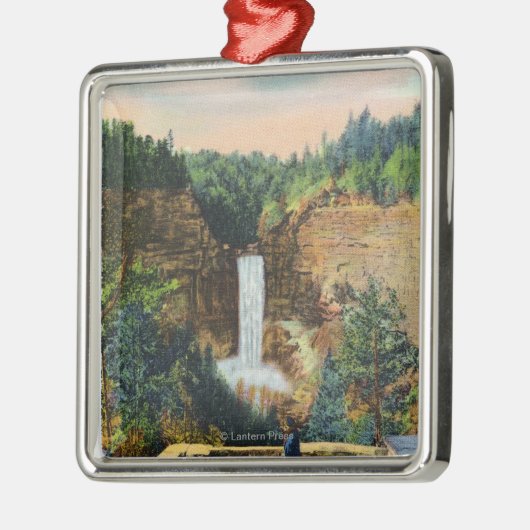 Ansicht von Taughannock fällt # 2 Silbernes Ornament (Links)