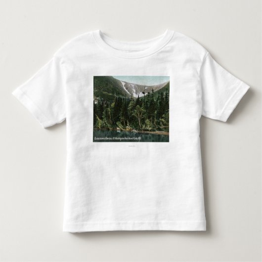 Ansicht von Tuckermans Schlucht, Mt. Washington Kleinkind T-shirt (Vorderseite)