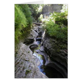 Ansicht von Watkins Schlucht