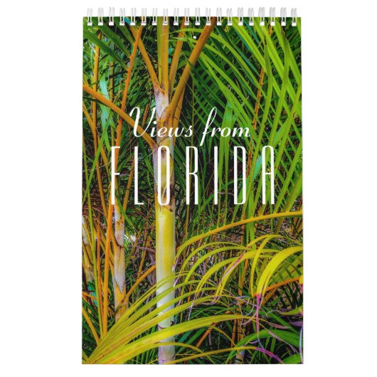 Ansichten aus dem Florida-Kalender Kalender (Titelbild)