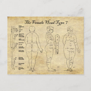 Ansichten des weiblichen Kopfes Typ 7 Postkarte