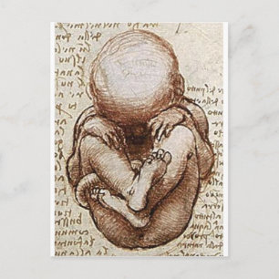 Ansichten eines Fetus im Detail Postkarte