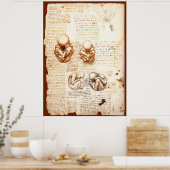 Ansichten eines Fetus in der Frau, Ob-Gyn Medical Poster (Küche)