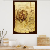 Ansichten eines Fetus in der Frau, Ob-Gyn Medical Poster (Küche)