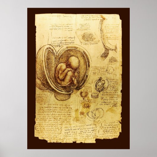 Ansichten eines Fetus in der Frau, Ob-Gyn Medical Poster (Vorne)