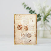 Ansichten eines Fetus in der Frau, Ob-Gyn Medical Postkarte (Stehend Vorderseite)