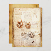 Ansichten eines Fetus in der Frau, Ob-Gyn Medical Postkarte (Vorne/Hinten)