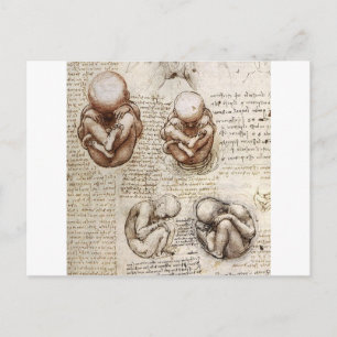 Ansichten eines Fetus in der Frau Postkarte
