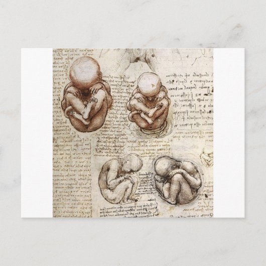 Ansichten eines Fetus in der Frau Postkarte (Vorderseite)