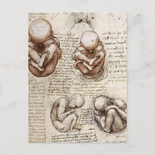 Ansichten eines Fetus in Womb.jpg von Leonardo Vin Postkarte