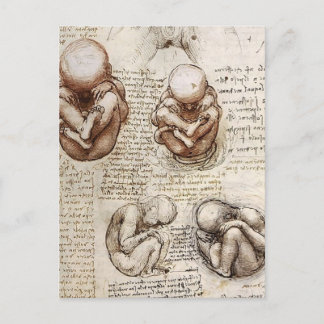 Ansichten eines Fetus in Womb.jpg von Leonardo Vin Postkarte