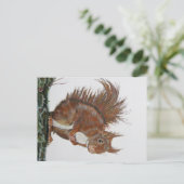 Ansichtkaart Eekhoorn. Postkarte (Stehend Vorderseite)