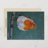 Ansichtkaart Roodborst. Briefkaart Postkarte (Vorne/Hinten)