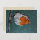 Ansichtkaart Roodborst. Postkarte (Vorne/Hinten)